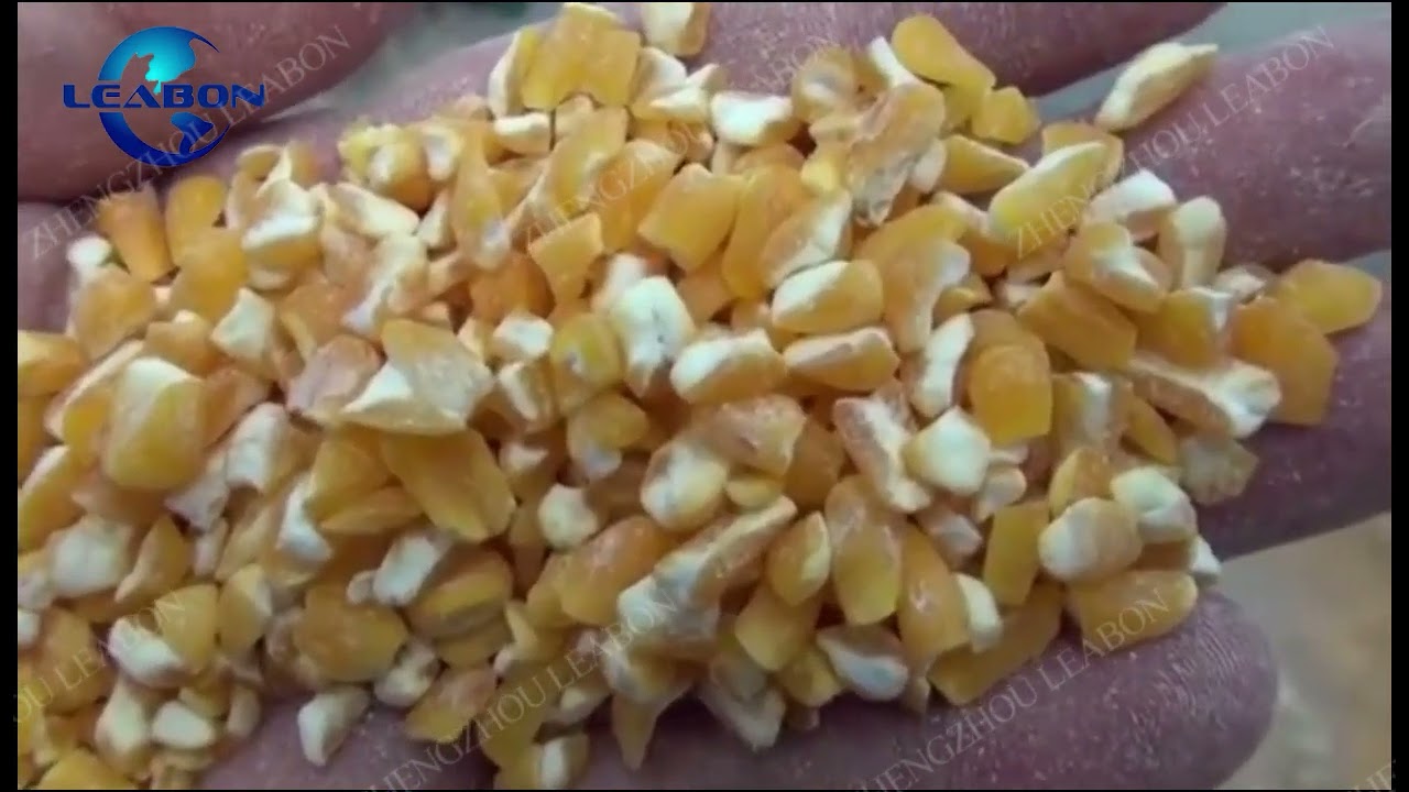How to Use The Corn Peeling and Milling Machine
