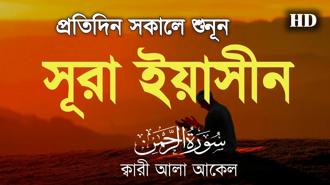 (প্রতিদিন সকালে শুনুন) আবেগময় কন্ঠে সূরা ইয়াসীন | Surah Yasin (سورة يس) By Alaa Aqel 