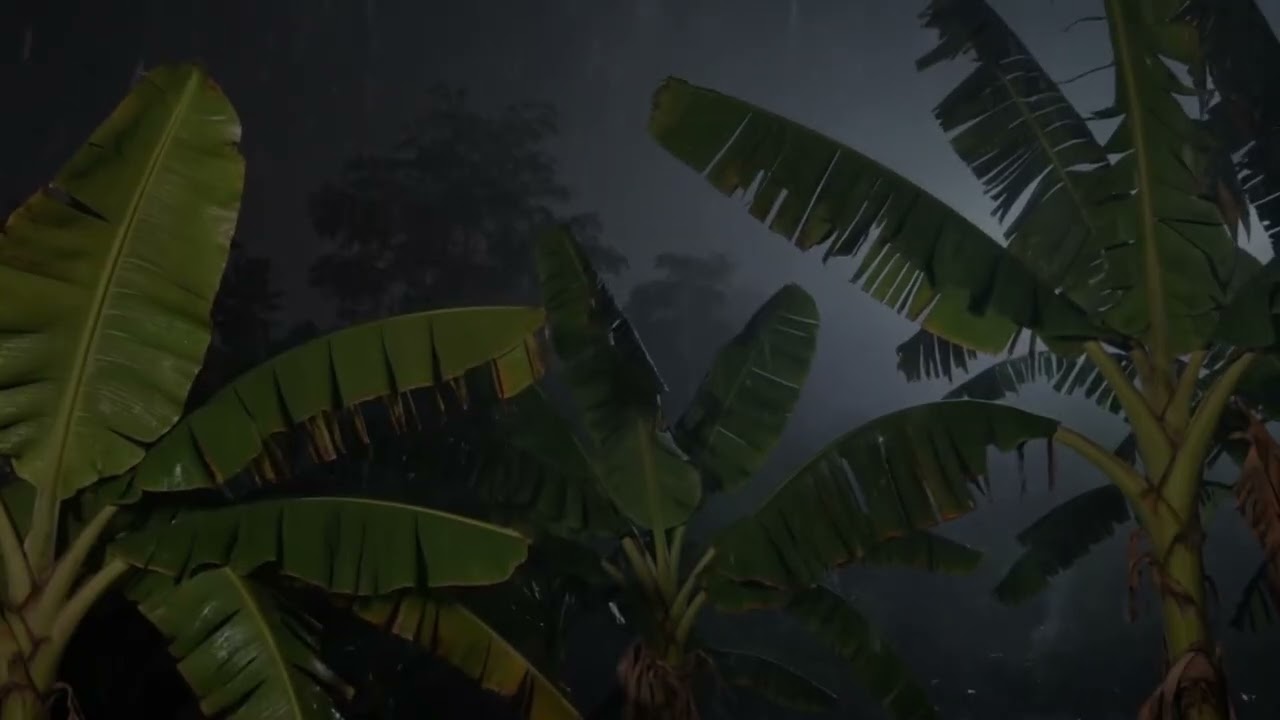 Rain in the farm .11 hours (No Ads) | Deep Sleep, Relaxation, Study | Insomnia relief