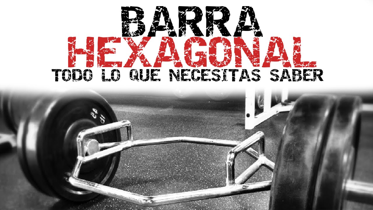BARRA HEXAGONAL: ¿Por qué incluirla y cómo hacerlo?