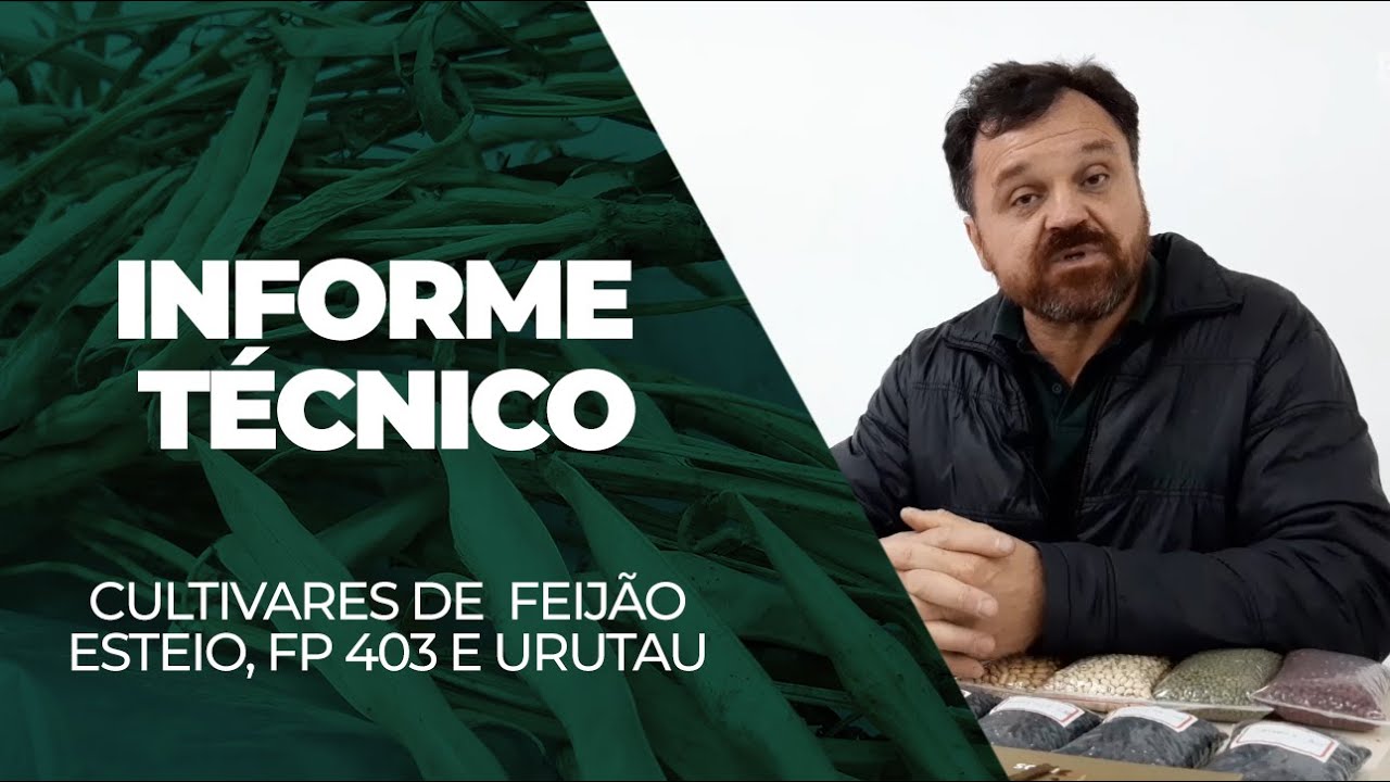 INFORME TÉCNICO - Cultivares de Feijão IPR Urutau, BRS Esteio e BRS FP 403