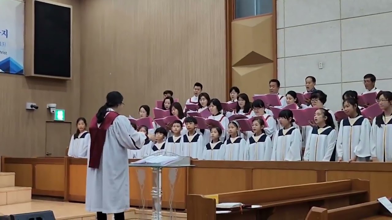 꽃들도