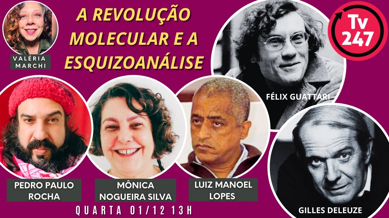A revolução molecular e a esquizoanálise