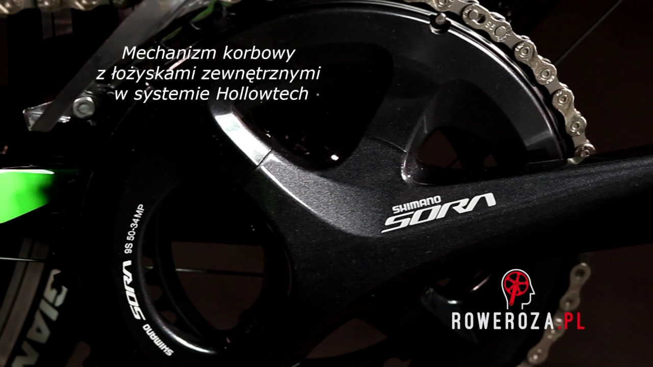 Rower Giant Contend 1 2017