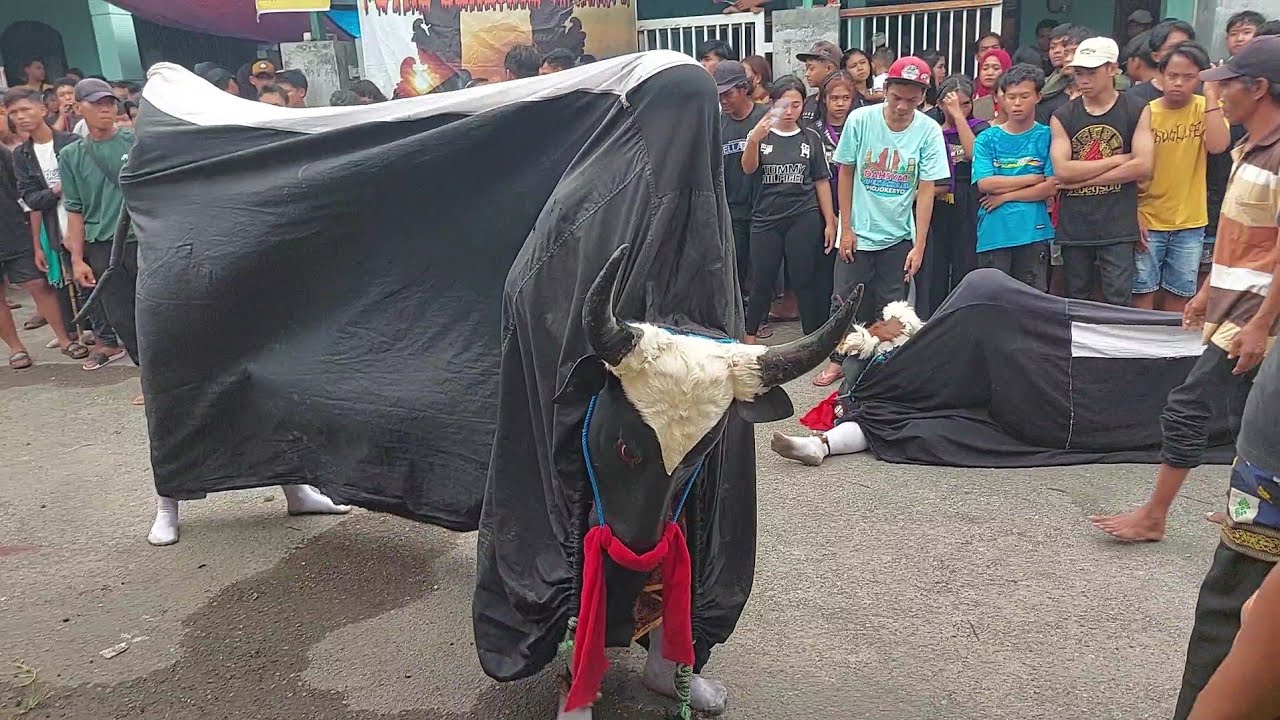 Bantengan Putro Sendang Langit