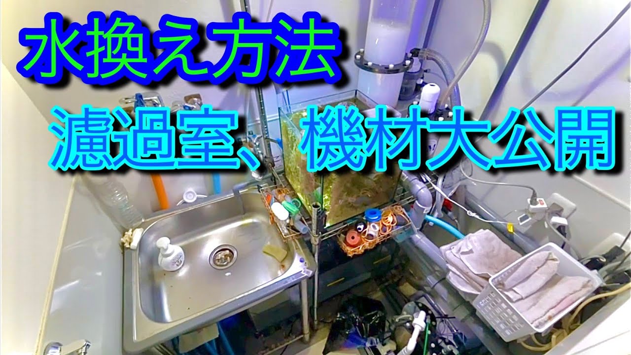 水換え方法ご紹介❗＆濾過室、機材紹介❗マニアックです（笑）