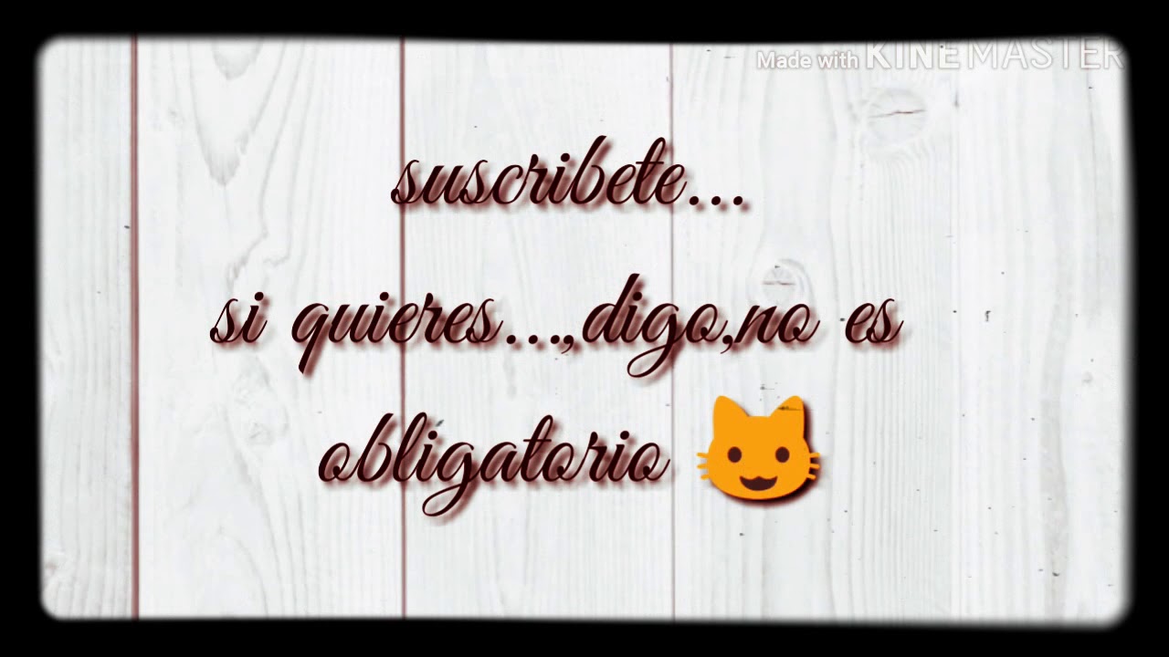 Gaticornios!!!!! 😺