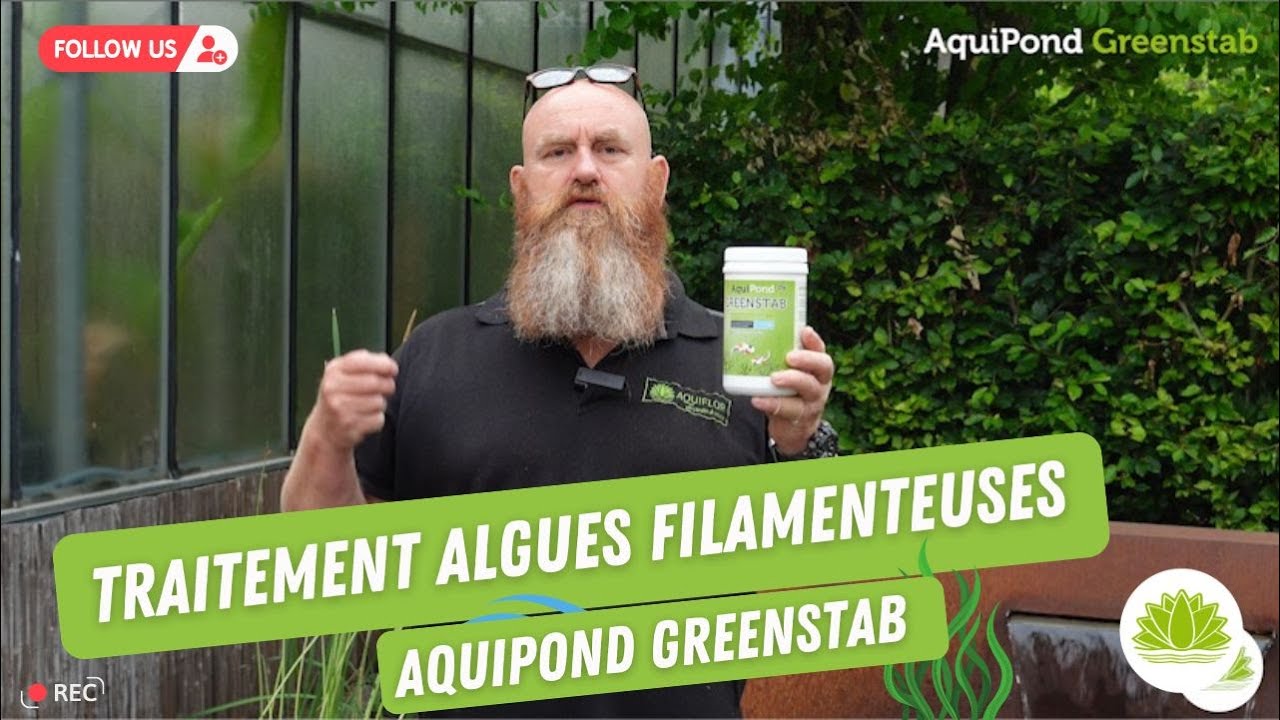 💧💪 Traiter les algues filamenteuses dans votre étang avec l'Aquipond Greenstab