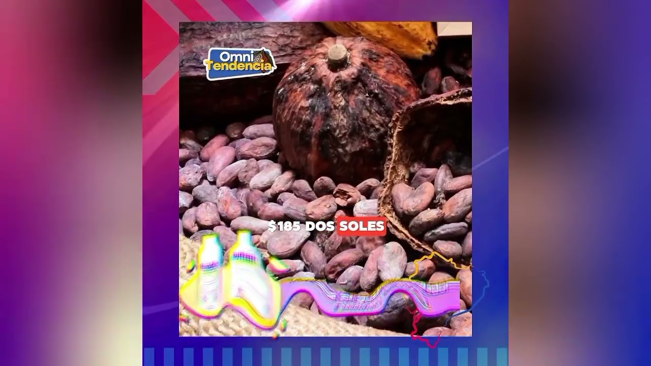 Precio del cacao en Ecuador 🇪🇨🍫