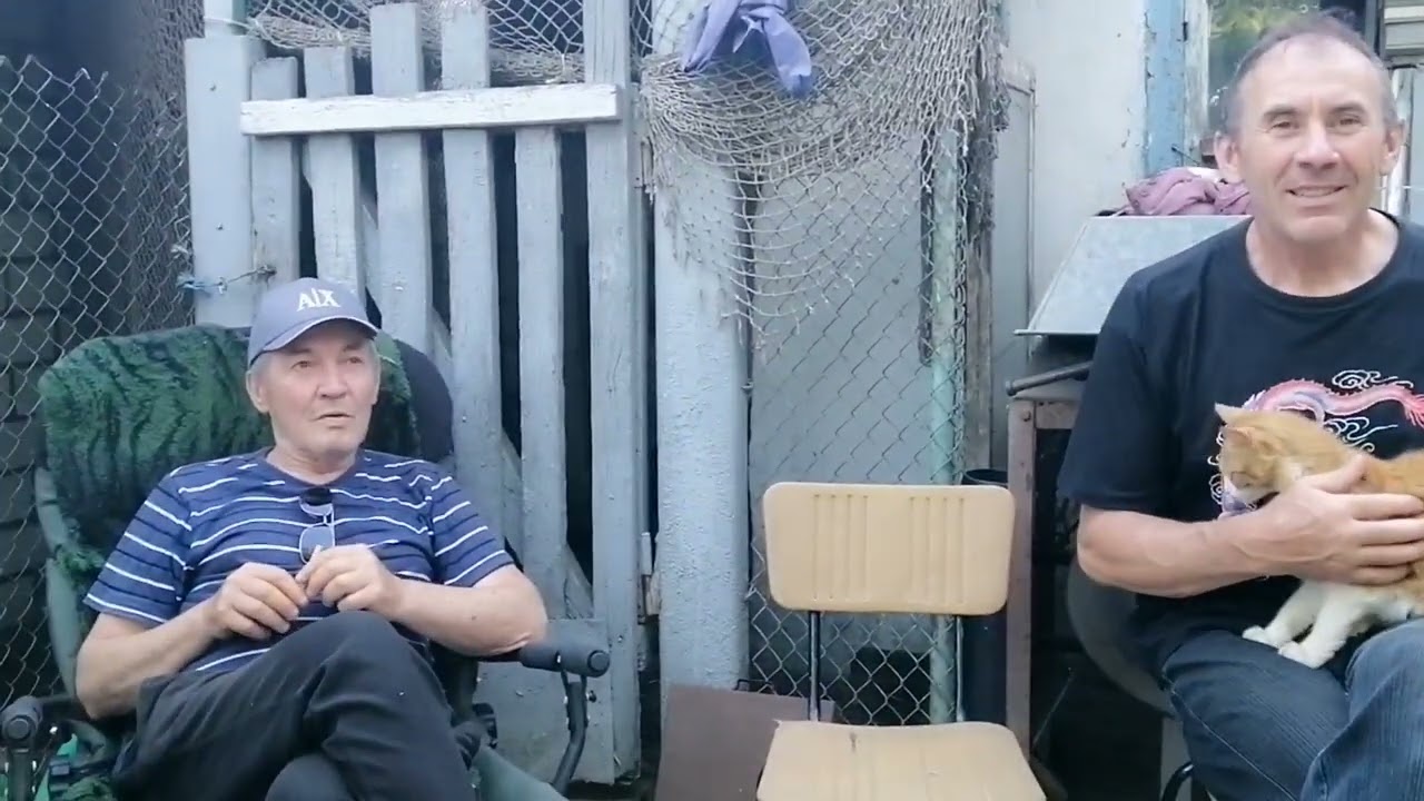 Мелитопольские голуби. В поисках истины... Часть 2.