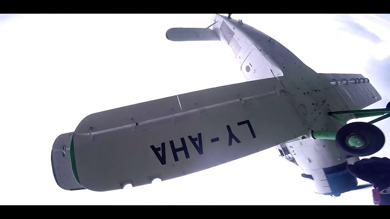 Have you ever wondered why birds sing ? Slow motion Skydiving