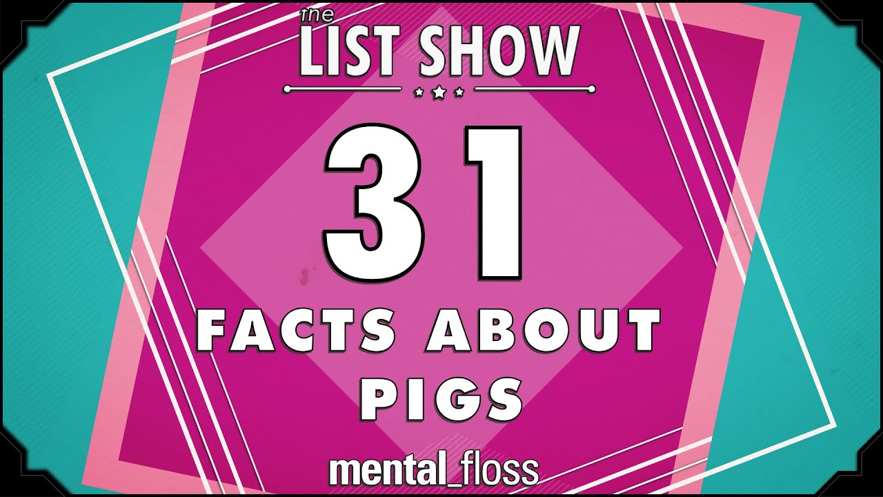 31 факт о свиньях | Mental Floss
