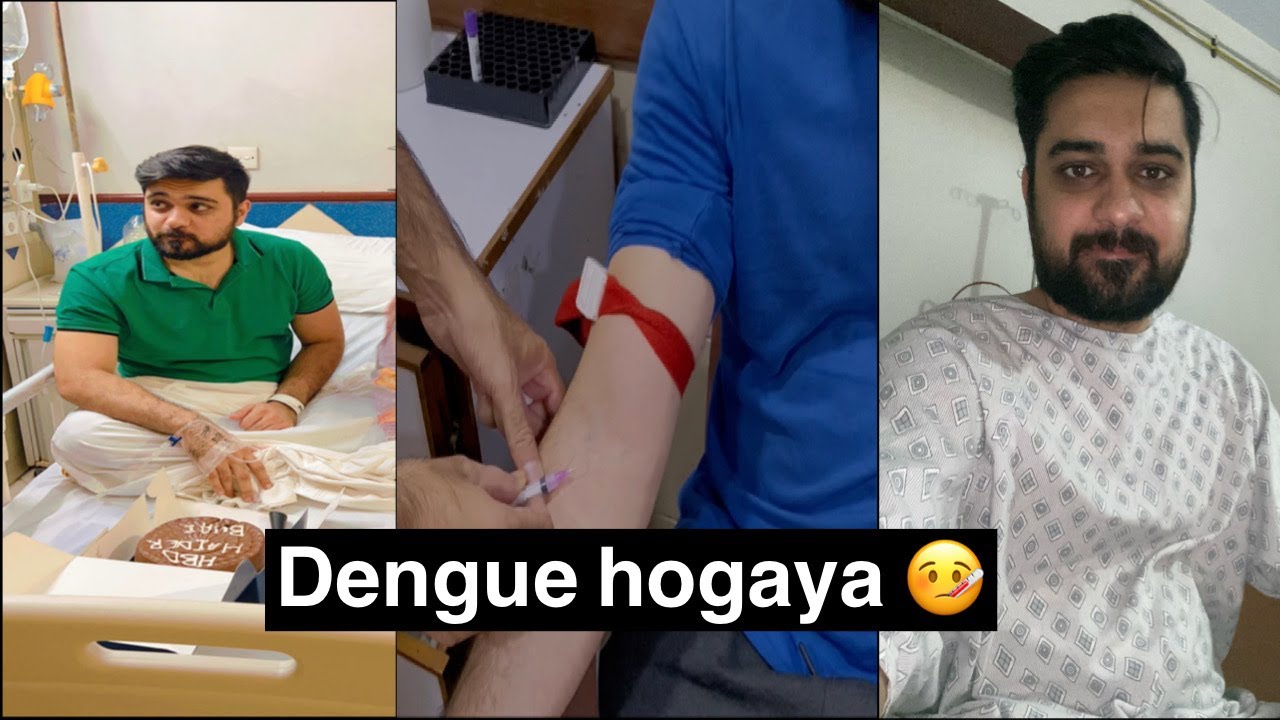 Dengue Hogaya :(  | Monnoo Vlogs