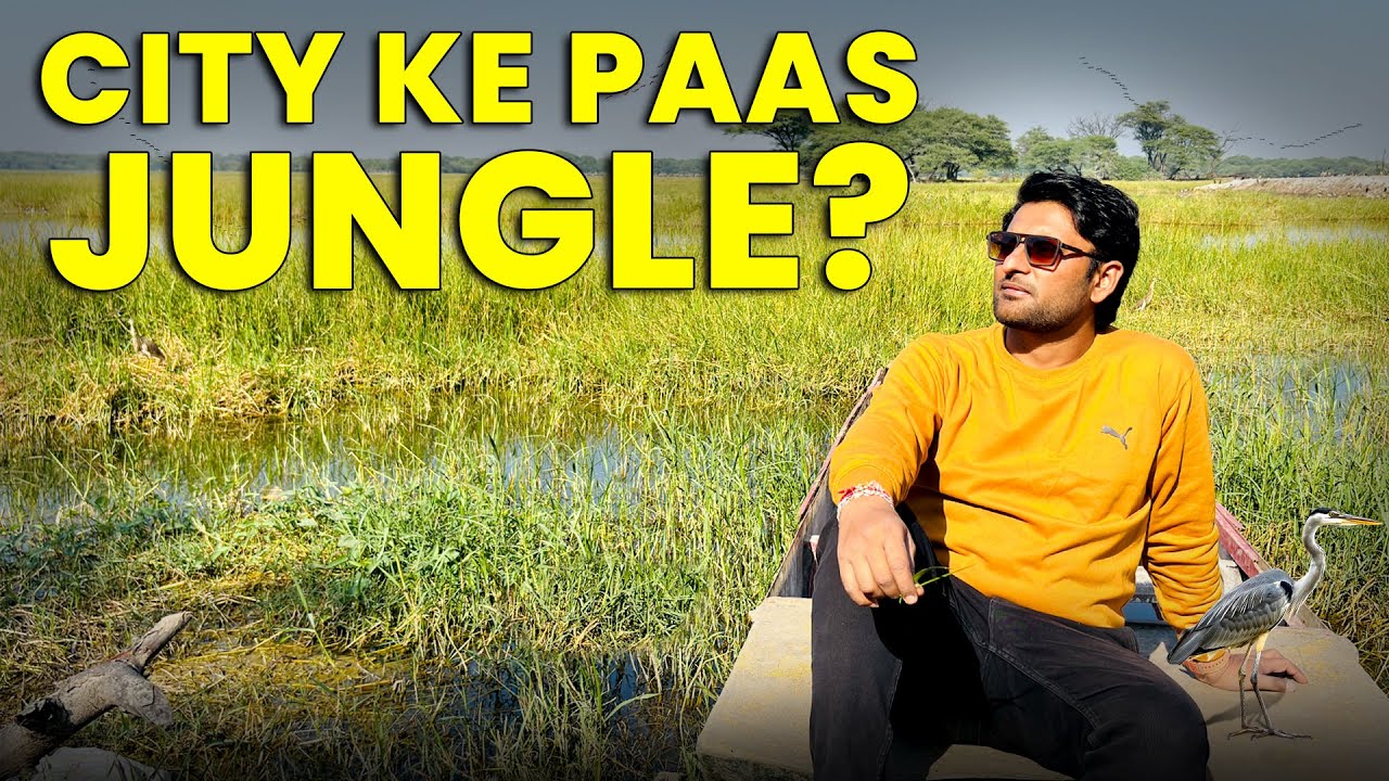 Thol Bird Sanctuary Ahmedabad | Peaceful Nature Vlog Near City (Honest Experience)