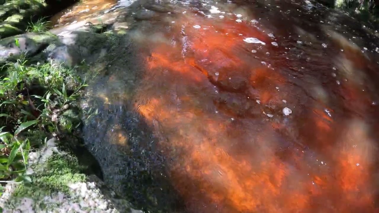 Sounds of a creek in Serra do Espinhaço, Minas Gerais - Rio das Pedras