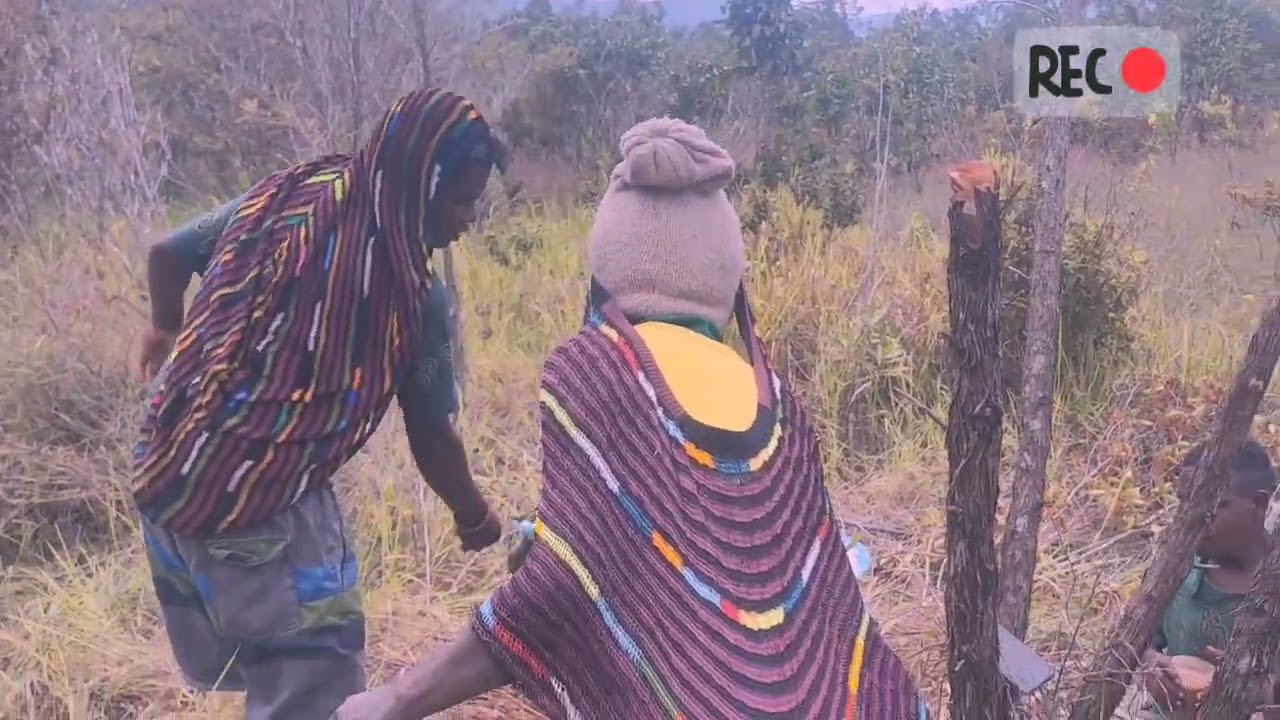 PESEK WAMENA MULIAMA