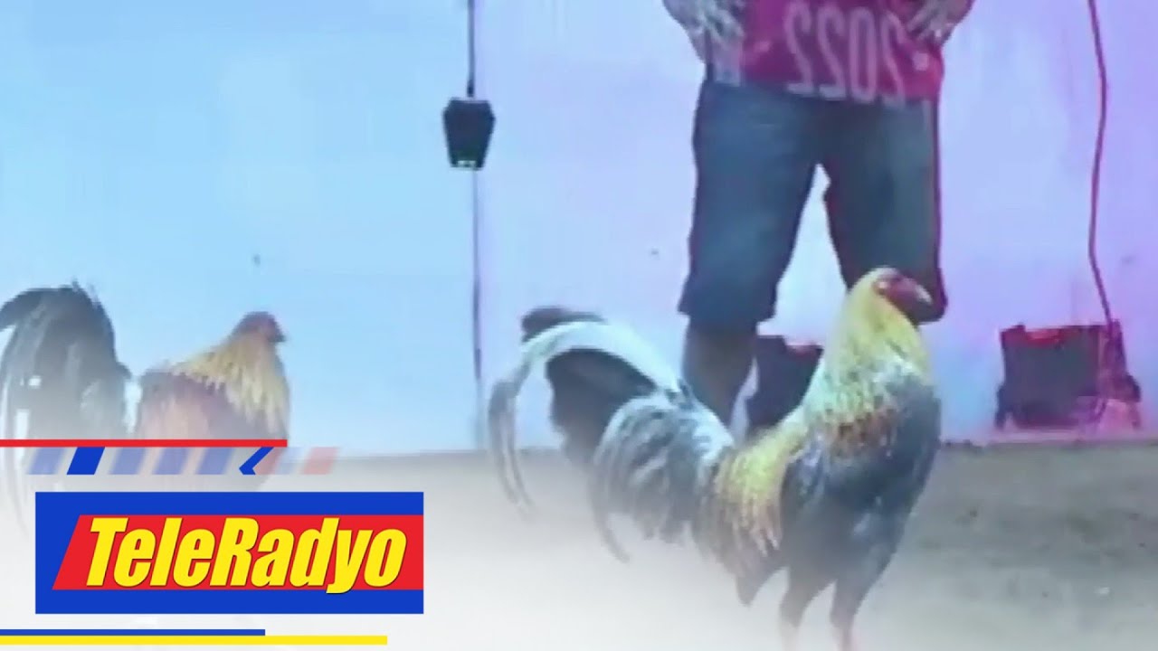 Senate committee pinalilimitahan ang operasyon ng e-sabong | Teleradyo Balita (21 April 2022)