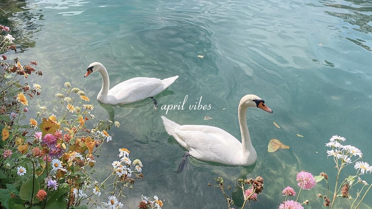 april vibes playlist 🌸 relaxing piano for reading, studying & calm focus