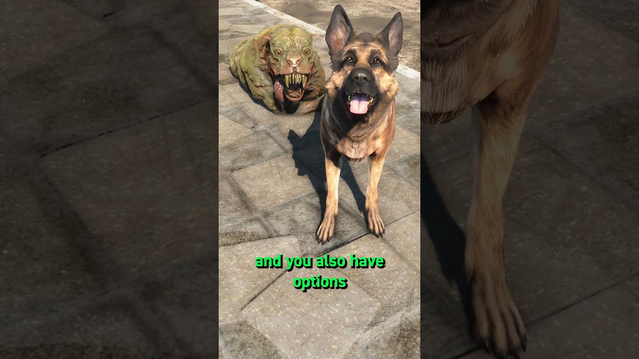 Fallout 4&rsquo;s Best Dog Vendor