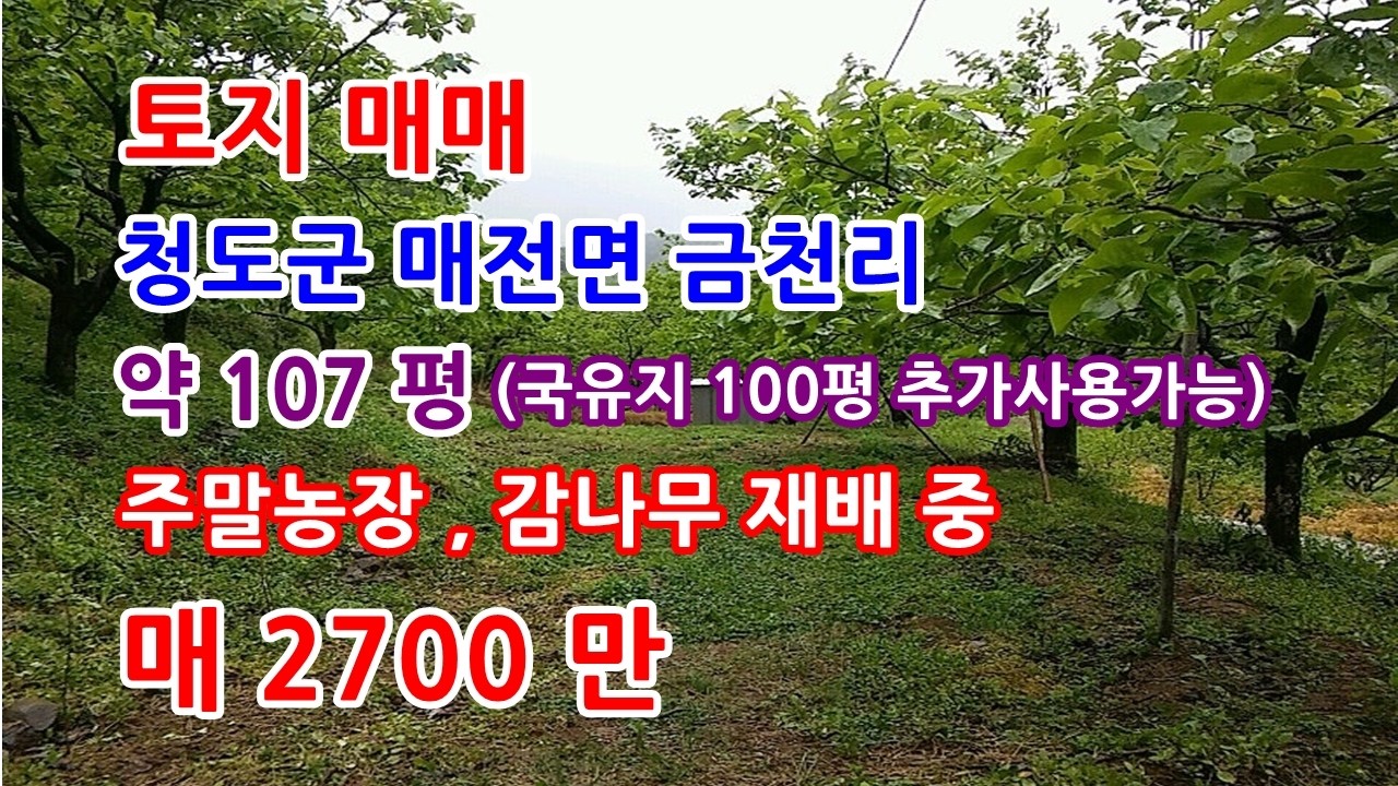 토지매매 청도군 주말농장으로 사용하기 좋은 2천만원대 토지매매