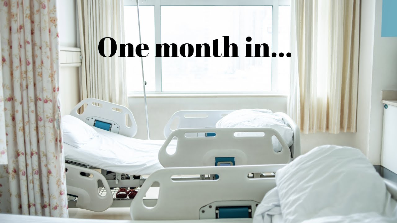My Honest Thoughts on My First Month as a Doctor of Physical Therapy