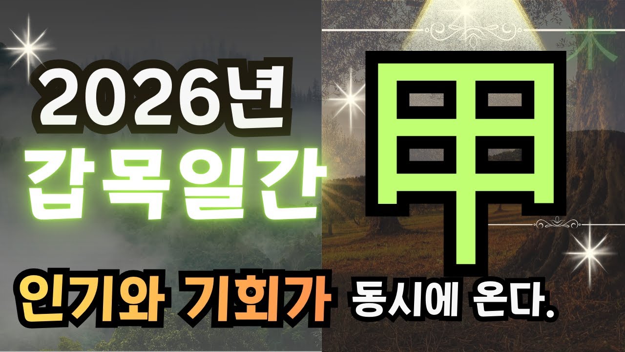 ✨2026년 갑목[甲木]일간 운세-인기와 기회가 동시에 옵니다!💎홍염살의 능력발휘