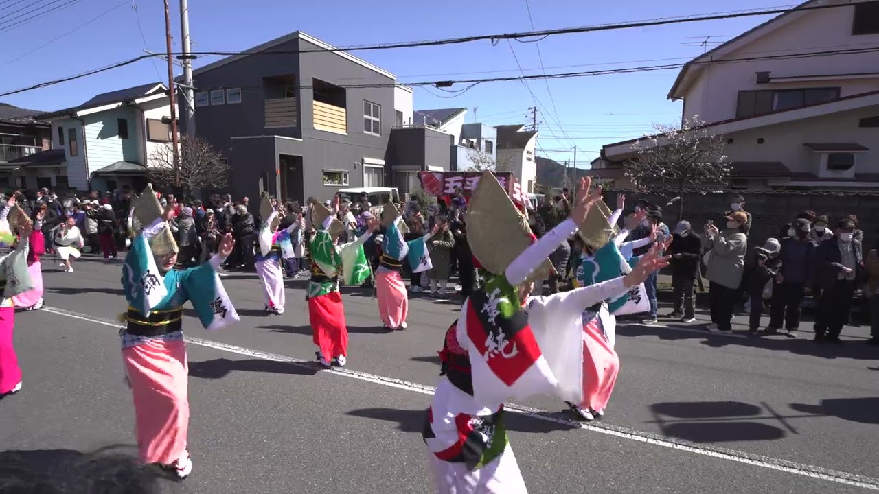 【4K】吉野梅郷梅まつり 2026青空の下で阿波踊り高円寺合同連「流し踊り」の美しい演舞