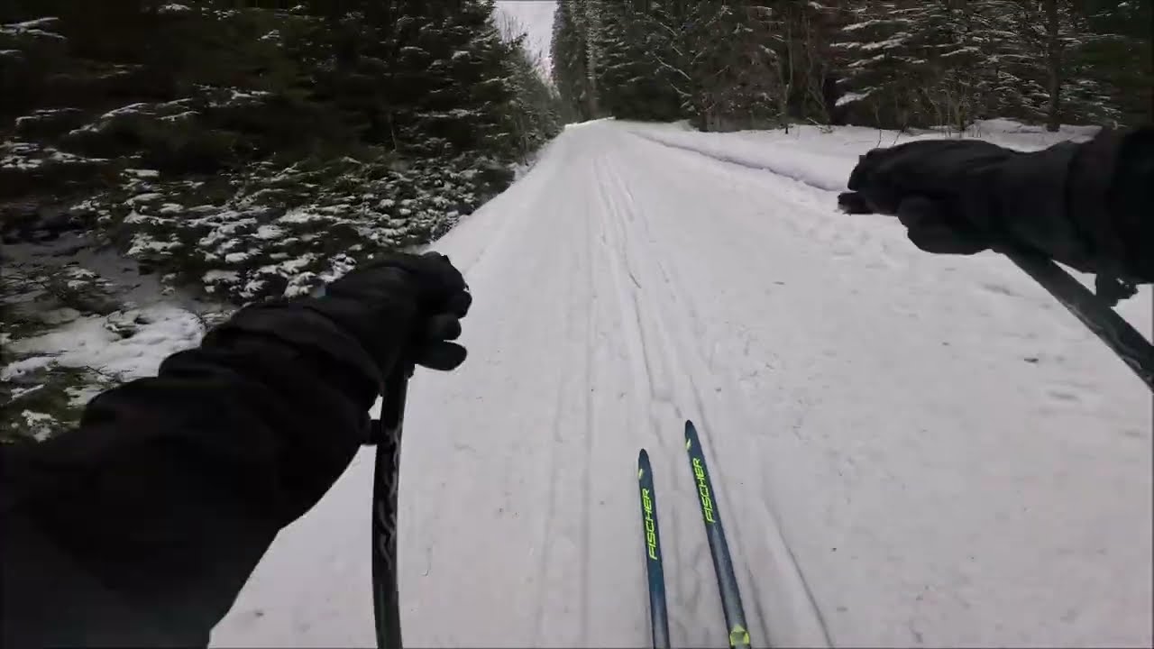 Almost Olympic Pace/Cross Country skiing