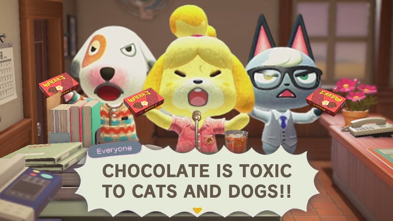 If You Give Souvenir Chocolates to Villagers Over and Over Again