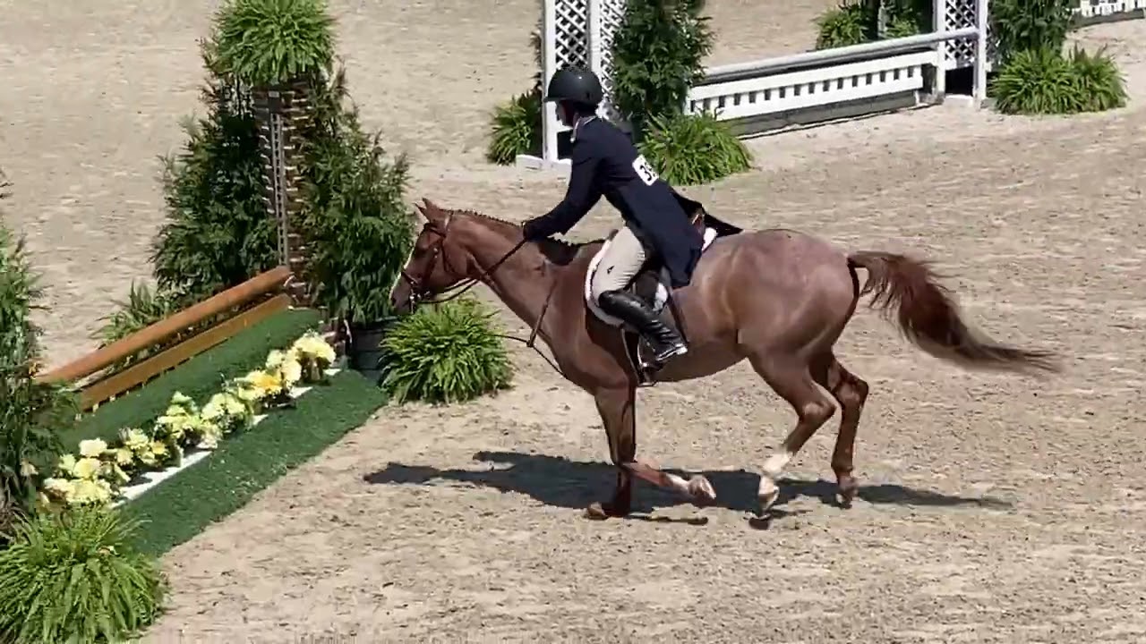 Maddy and Super 2’6” Derby