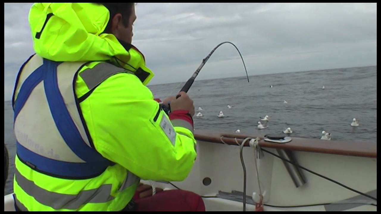 Heilbutt  34 Kilo vor Gjesvear wilder Drill