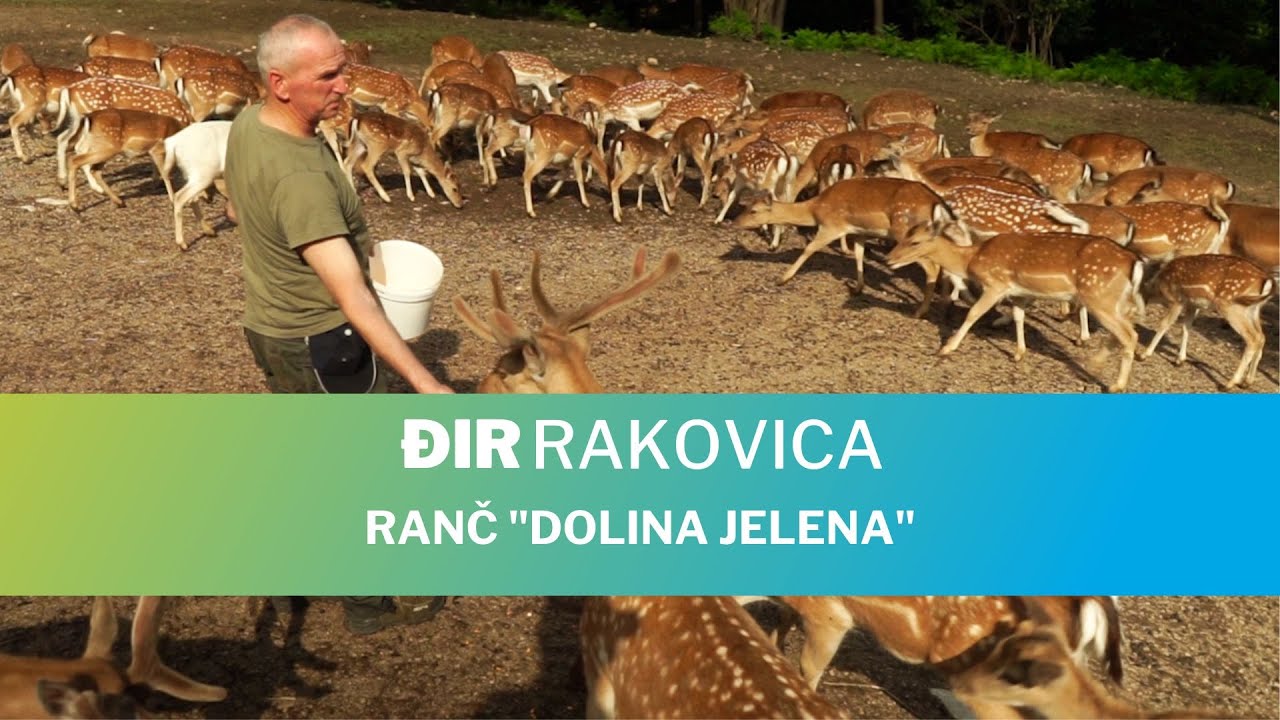 Đir Rakovica - Ranč Dolina jelena
