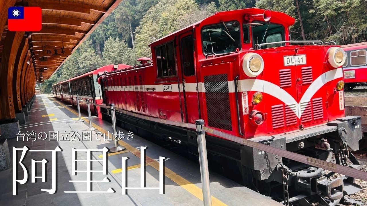 【台湾・国立公園阿里山】台北では味わえないローカル感満載の台湾中部の旅。美しい自然あり、美味しい駅弁あり、世界三大登山鉄道に乗って国立公園を巡ろう！