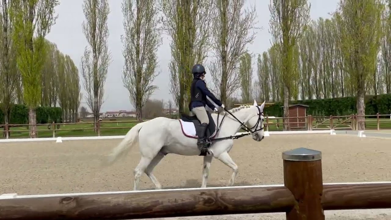 GARA EQUITAZIONE - RIPRESA E60 DRESSAGE