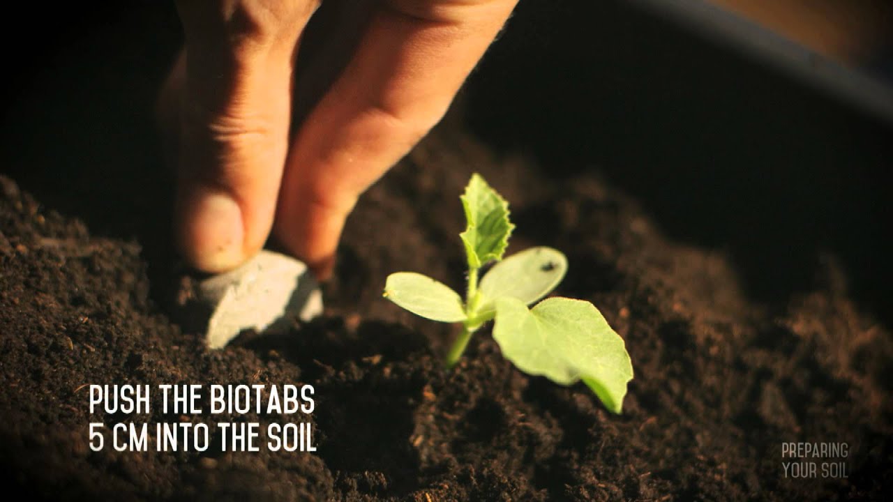 BioTabs STARTERKIT Manual
