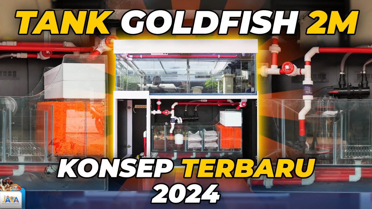 SETUP SMART TANK GOLDFISH 2M - KONSEP BARU 2024