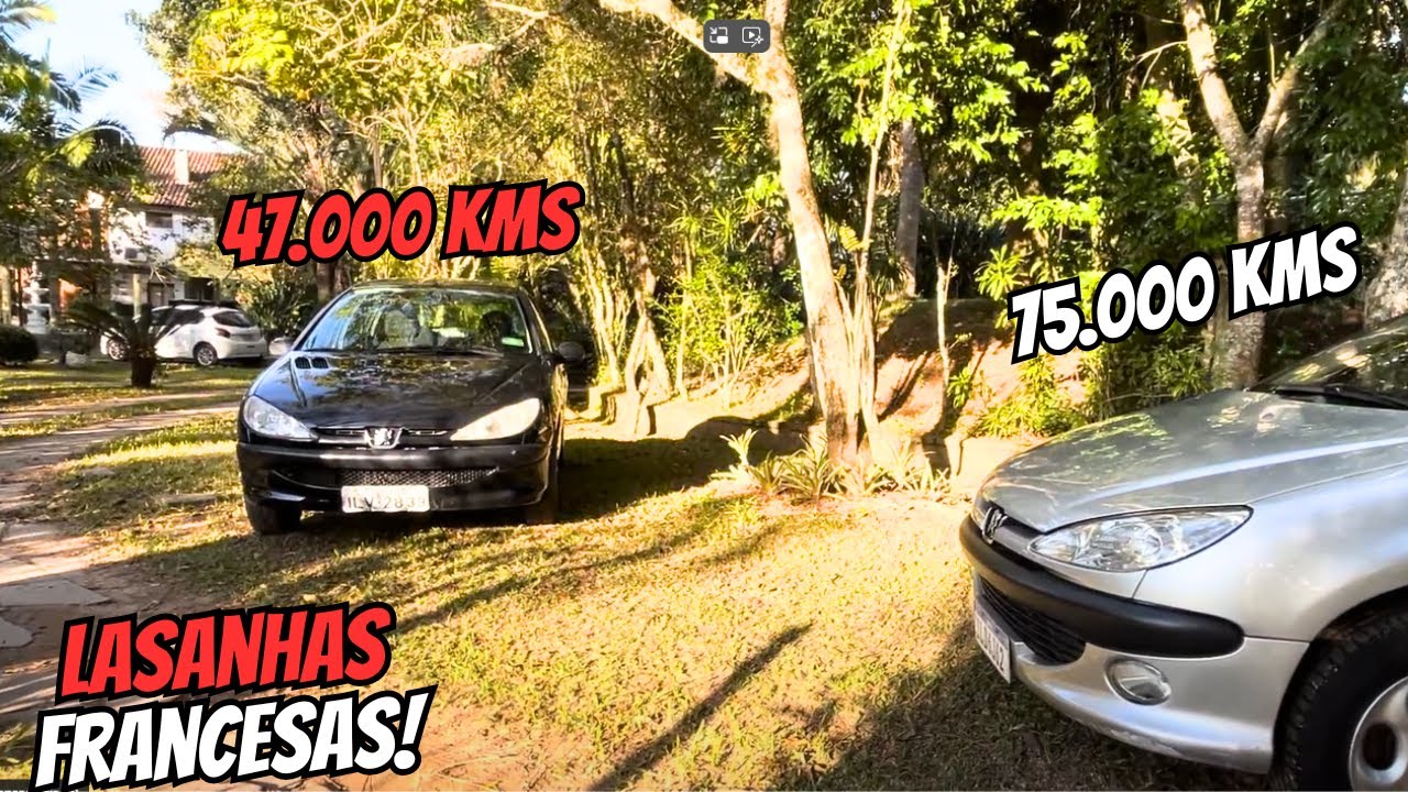 PEUGEOT 206 1.4 PRESENCE 2004 + PEUGEOT 206 QUICKSILVER 1.6 16V 2003🤪LASANHAS FRANCESAS DO @PLACAI_