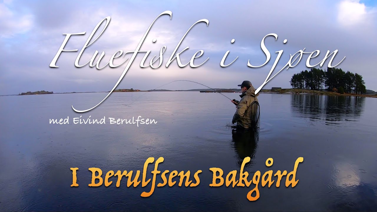 Fluefiske i sj&oslash;en. Episode 3 - 2025. I Berulfsens Bakg&aring;rd. Med Eivind Berulfsen.