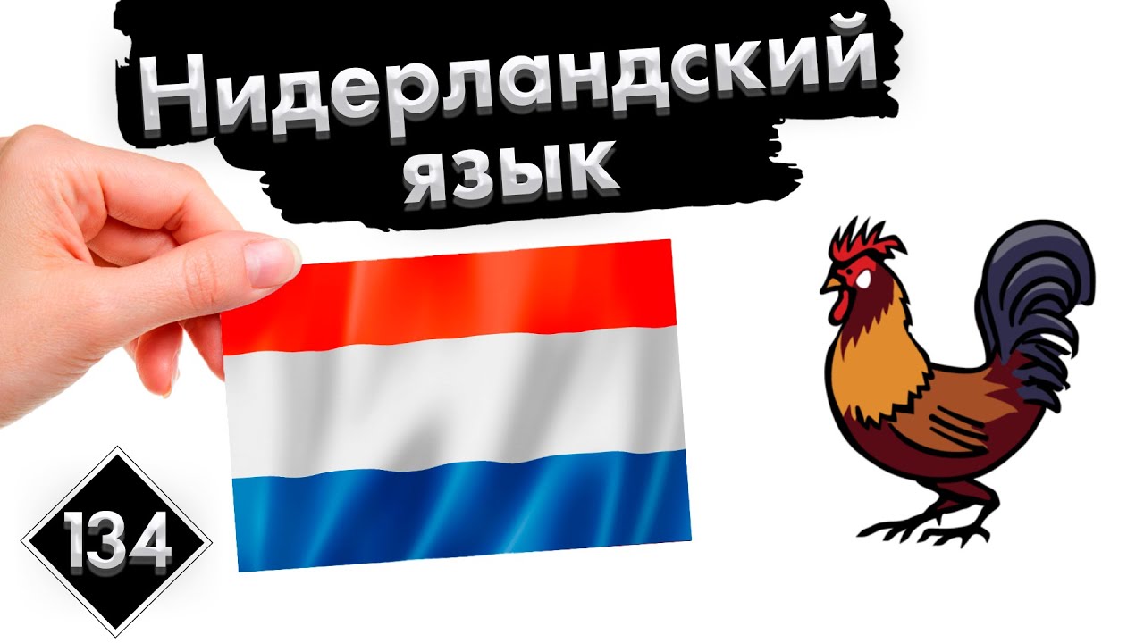 Урок 134. Ферма | Нидерландский (Голландский) язык с нуля.