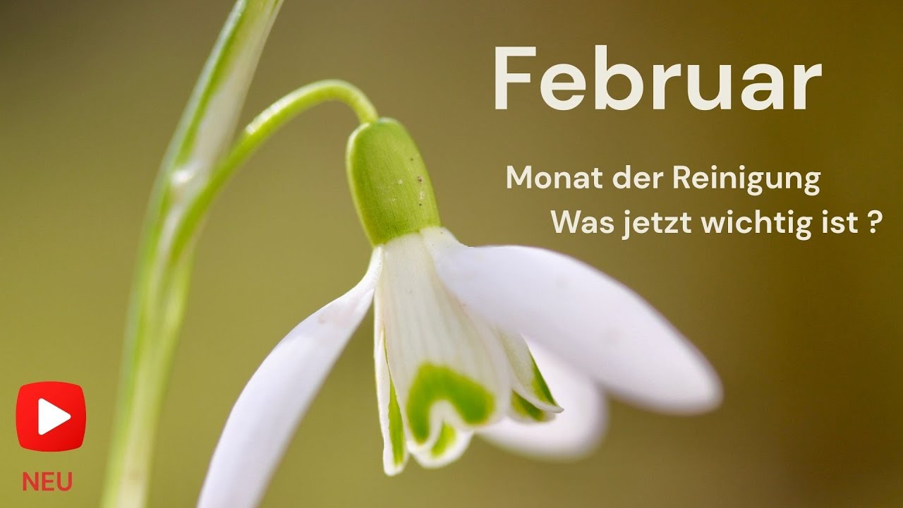 Botschaften und Energien des Februars - Was jetzt wichtig ist !!!
