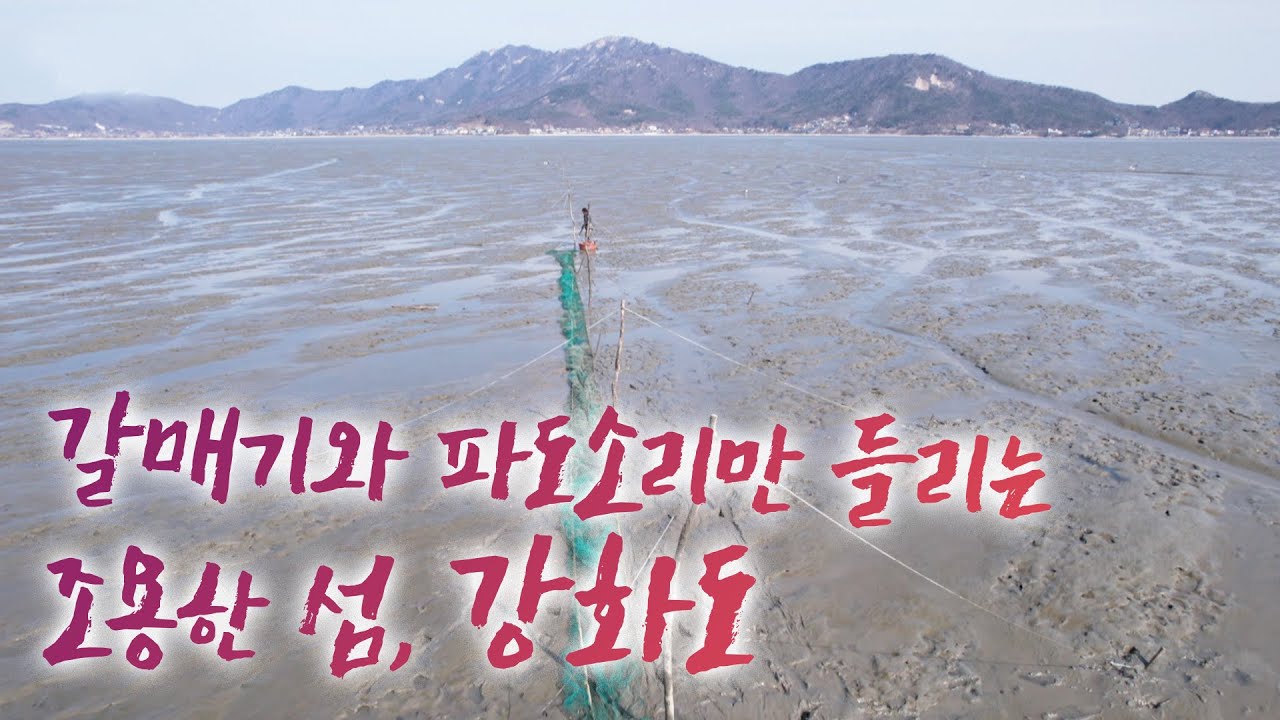 힘들어도 주꾸미 올라오는 거 보면 웃음이 납니다 ㅎㅎ 물이 다 빠지면 그때부터 우리 부자의 일하는 시간이에요. 이 깨끗한 갯벌좀 보세요 아름답지 않습니까? ㅎㅎ #어영차바다야