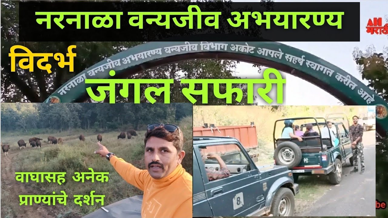 #नरनाळा_जंगल_सफारी|Narnala wildlife sanctuary|नरनाळा पर्यटन|  NarnalaTourism|नरनाळा जंगल सफारी