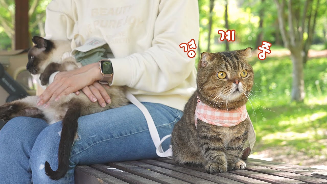 루루가 장군이를 형님으로 모시기 시작했습니다