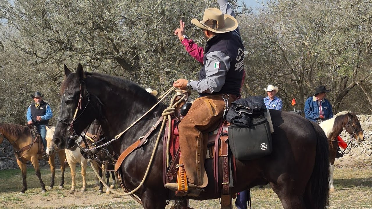 The Vaqueros are coming!