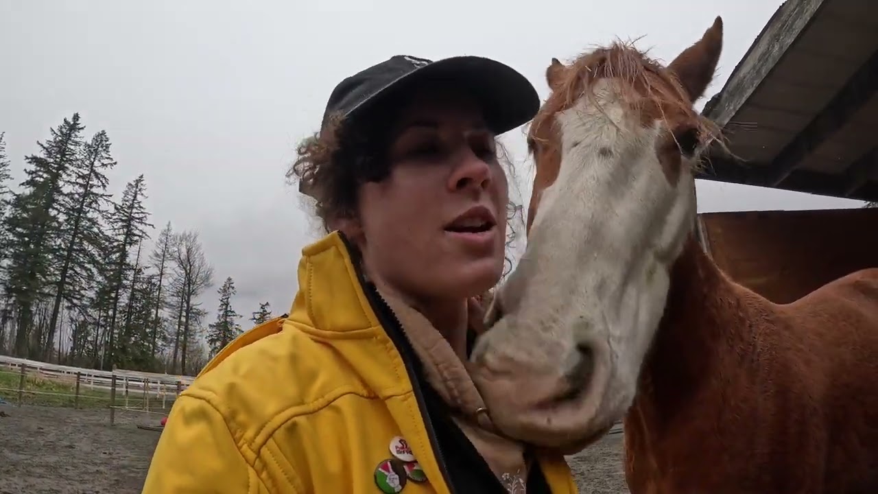 Horse Track System Tour | Spring Equinox Vlog