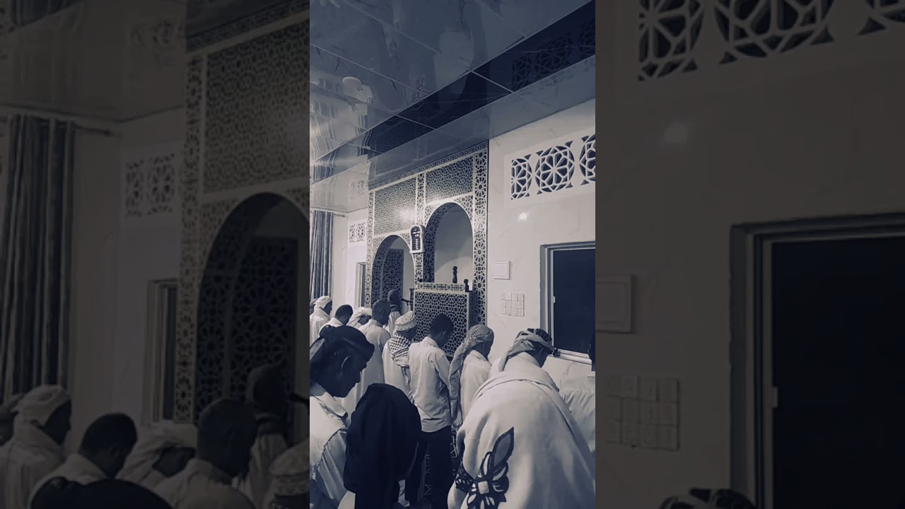 ماتيسر من سورة الدخان بصوت القارئ محمد وليد الشرعبي