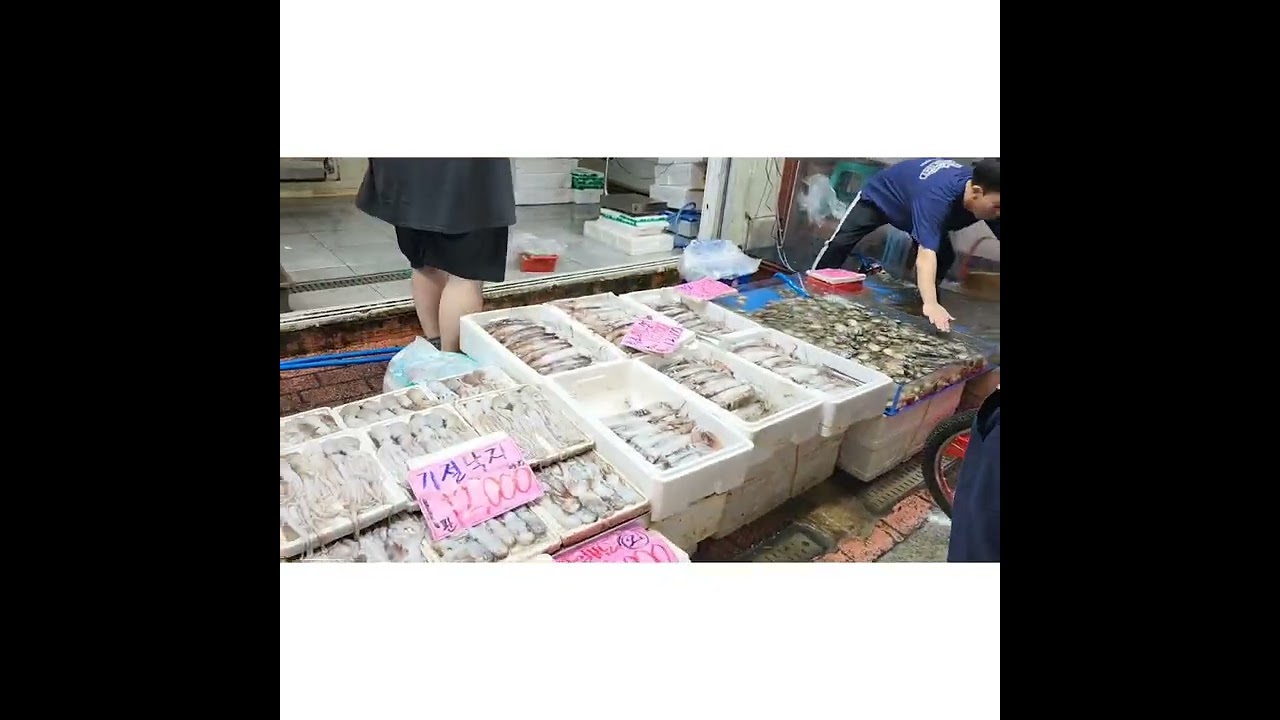 paju geumchon s.korea public market/#wc vlog official