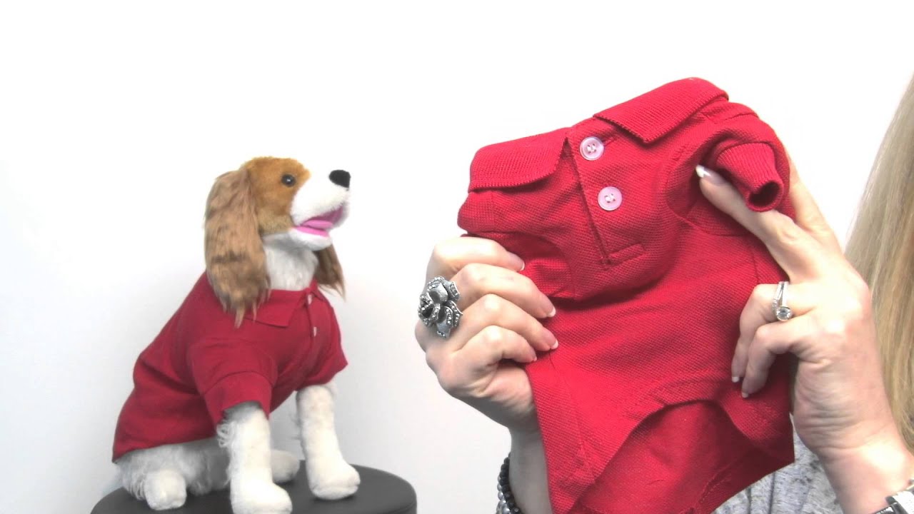 Polo Dog Shirt - Tomato Red
