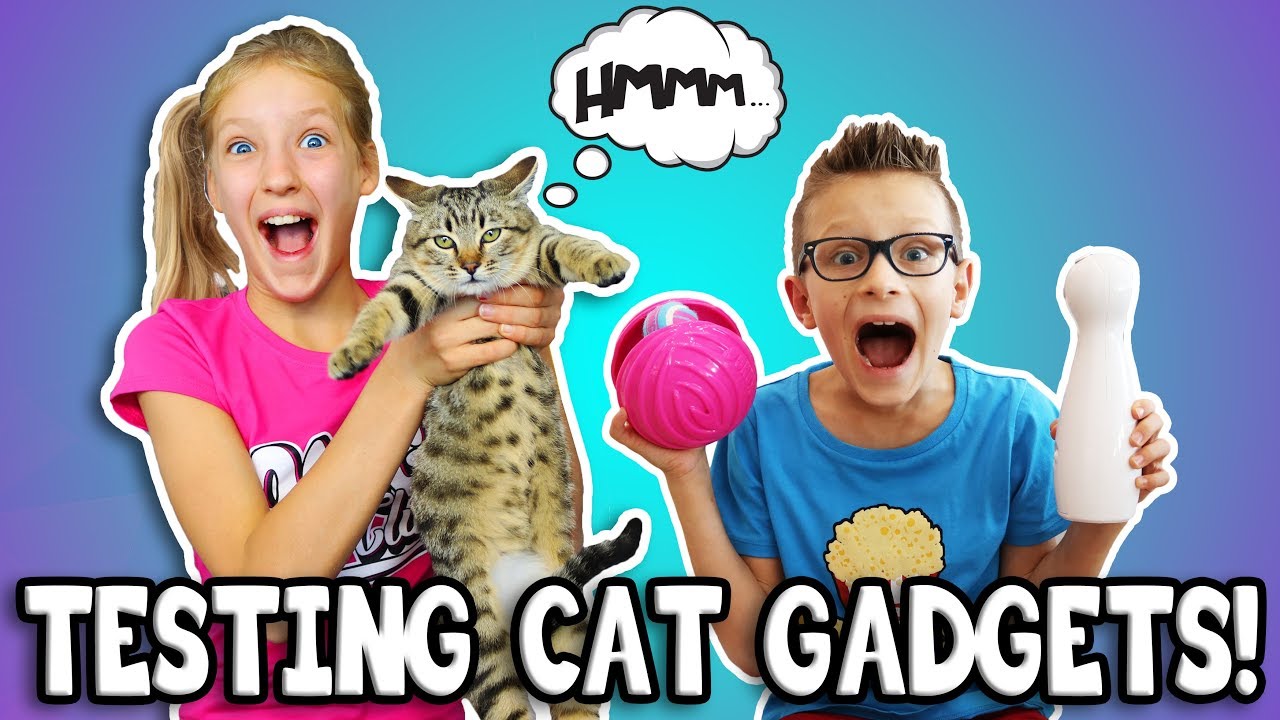 TESTING CAT GADGETS ON OUR CAT!!!