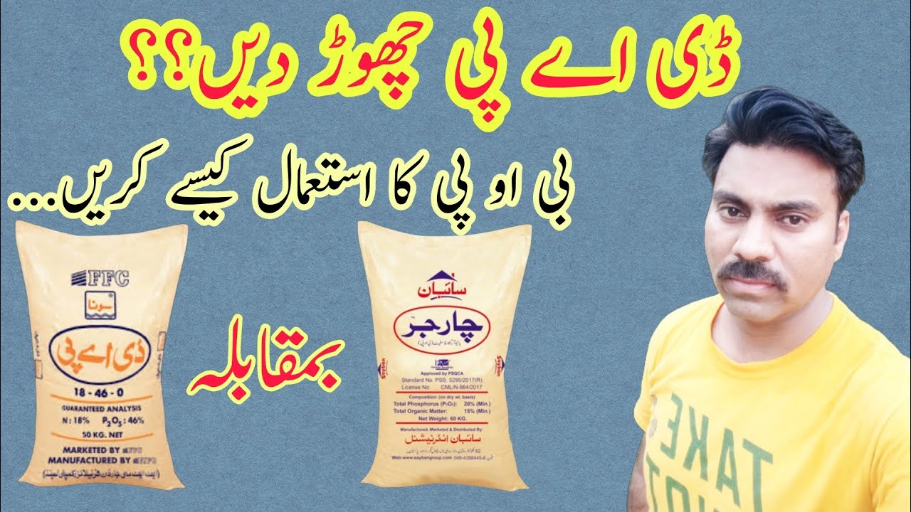 Phosphatic fertilizers in Pakistan |DAP use in crops |BOP features |DAP alternate |Phosphorus source